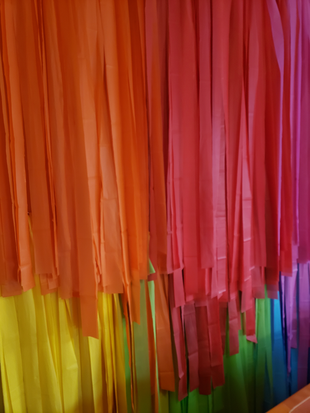 Fringe Backdrop Tutti Frutti/ summer colors